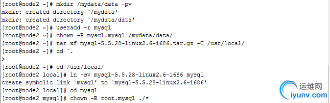 DSC0007.png