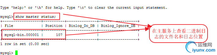 DSC00011.png