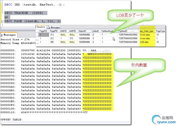 DSC0004.png