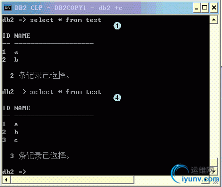 DSC00013.gif