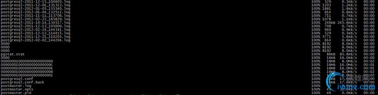 DSC0005.jpg
