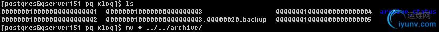 DSC0003.png