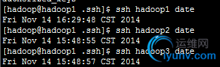 DSC0007.png