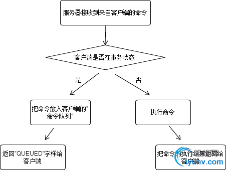 DSC0001.png