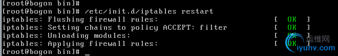 DSC00016.png