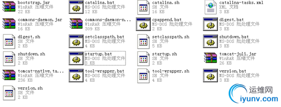 DSC0001.bmp