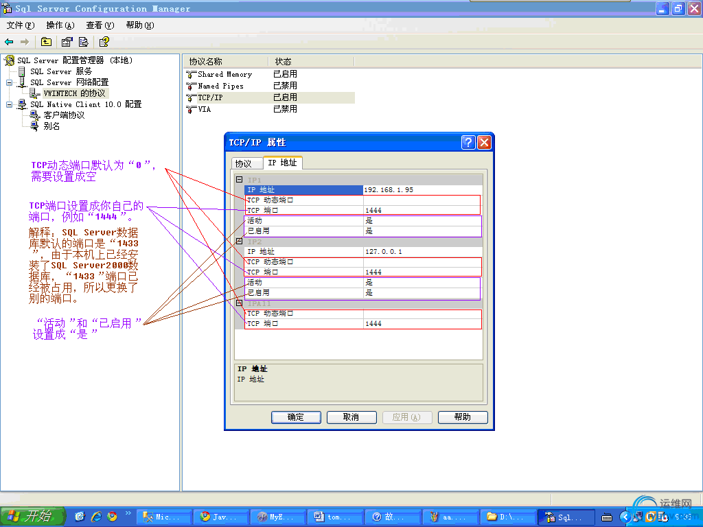 DSC00011.jpg