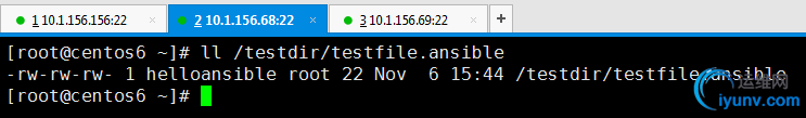 1478419095467529.jpg