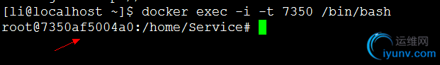 DSC0006.png