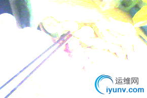 DSC00021.png