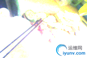 DSC00020.png