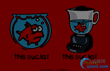 DSC0000.png