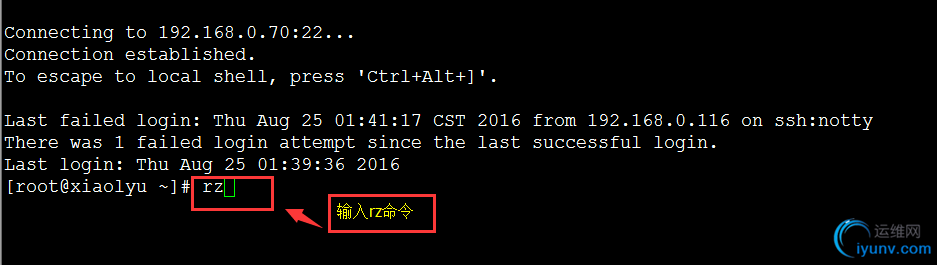 DSC0004.png