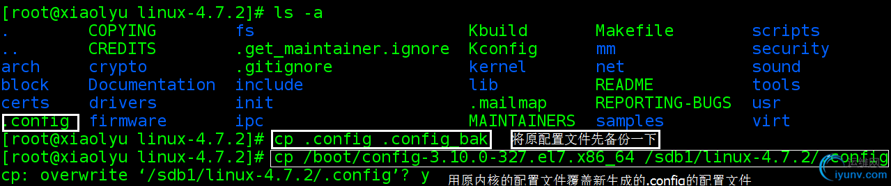 DSC00045.png