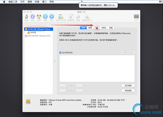 DSC00031.png