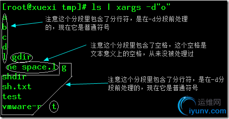 DSC0002.png