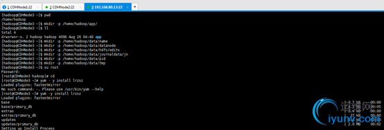 DSC00031.png