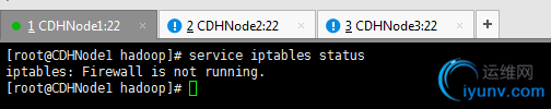 DSC00048.png