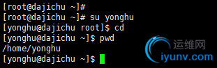 DSC00047.png
