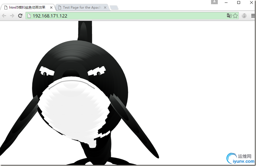 DSC00030.png