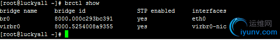 DSC0004.png