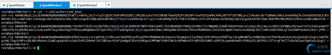 DSC00047.png