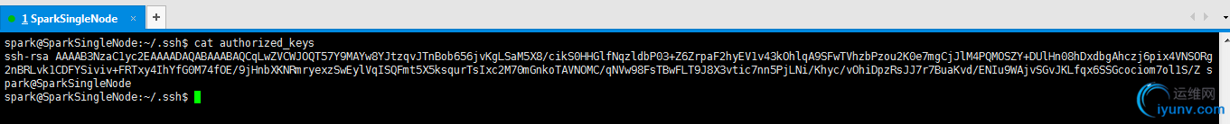 DSC00037.png