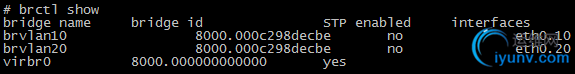 DSC00011.png