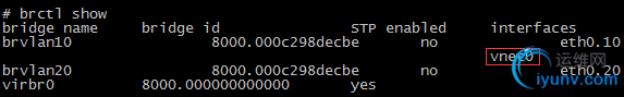 DSC00013.png