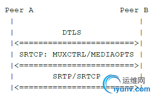 DSC00020.png