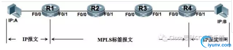 DSC0006.png