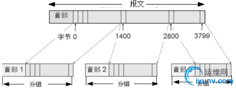 DSC0004.png