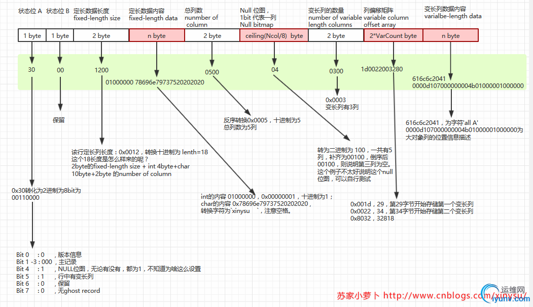 DSC00016.png