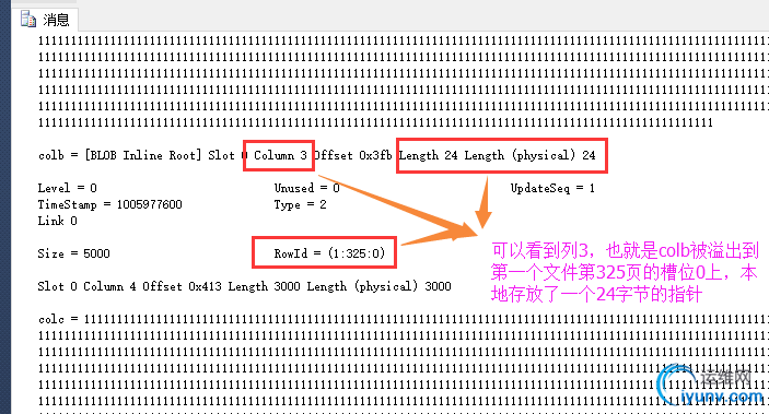DSC00020.png