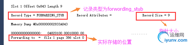 DSC00022.png