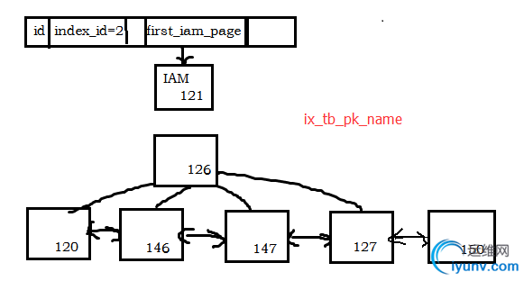 DSC00011.png