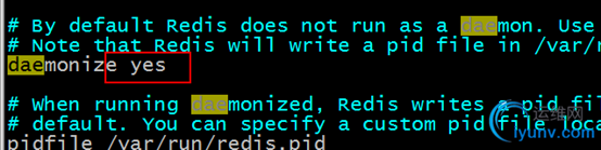 DSC0003.png