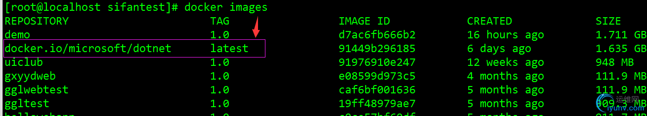 DSC00010.png