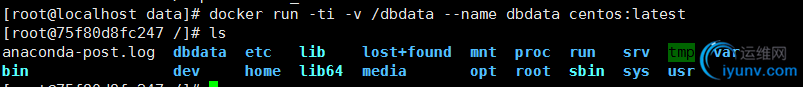 DSC0002.png