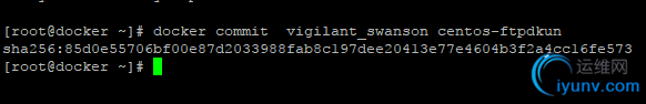 DSC0007.png