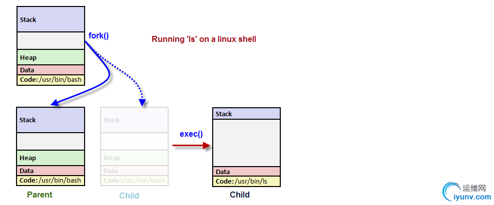 DSC0002.png