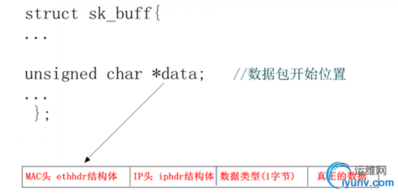 DSC0006.png