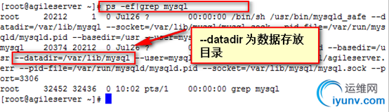 DSC0000.png