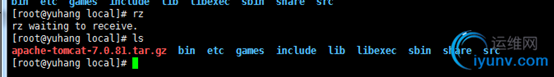 DSC0007.png