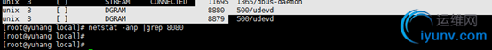 DSC00010.png