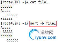 DSC0002.png