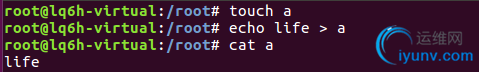 DSC0000.png