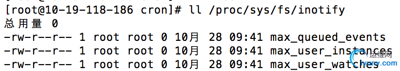 DSC0000.png