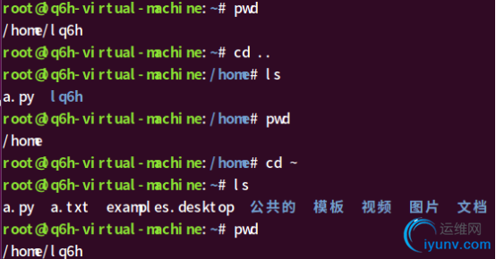 DSC0004.png