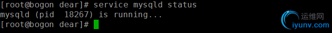 DSC0005.png